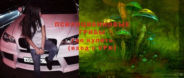 бутират Чердынь