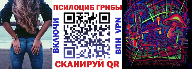 наркота  Йошкар-Ола  Галлюциногенные грибы Cubensis 
