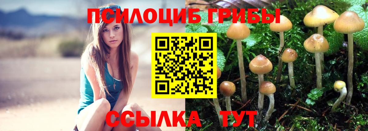 Галлюциногенные грибы прущие грибы  Вход с VPN  Йошкар-Ола  Галлюциногенные грибы прущие грибы 